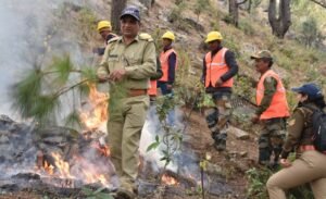 वनाग्नि से निपटने को चमोली में मॉक ड्रिल, विभागों ने दिखाई तत्परता