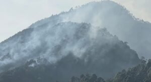 चमोली में जंगलों की आग से जनजीवन प्रभावित