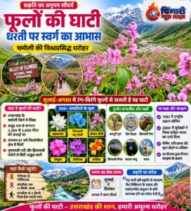 रंग-बिरंगे फूलों से सजी वैली ऑफ फ्लावर्स की अनोखी दुनिया